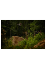 Lade das Bild in den Galerie-Viewer, Poster DIN A2 BLACK MASS "Kaos"
